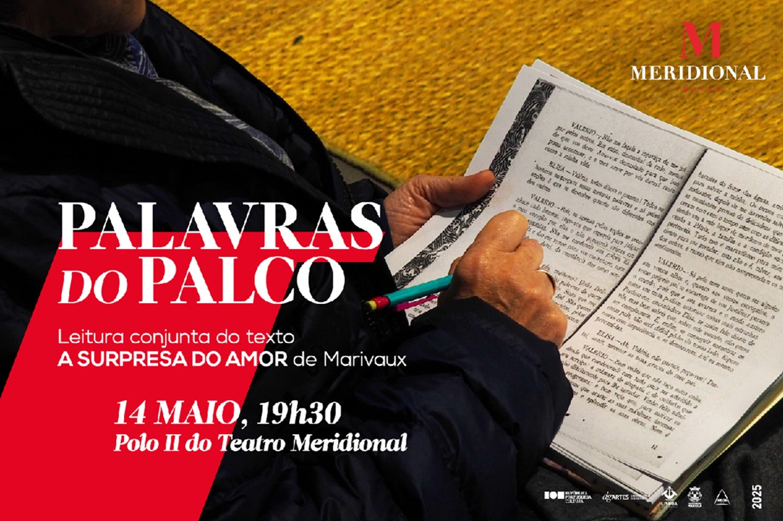 Palavras do Palco Redes Banner